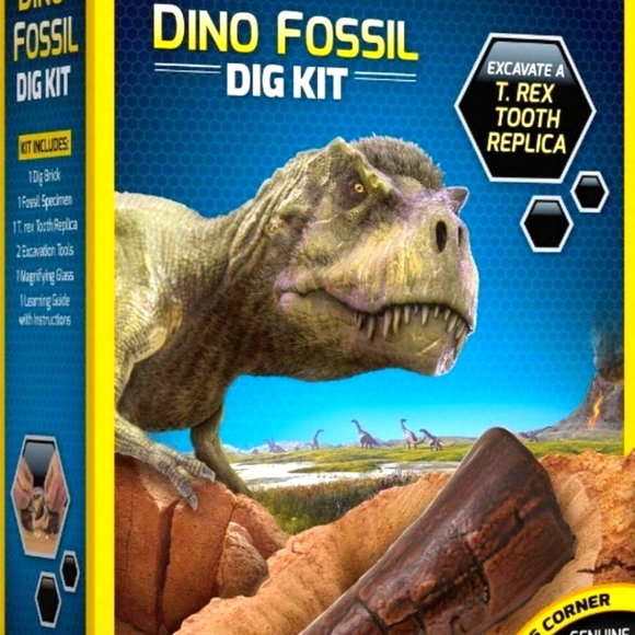 Dino Fossil Dig Kit - Picture 1 of 3